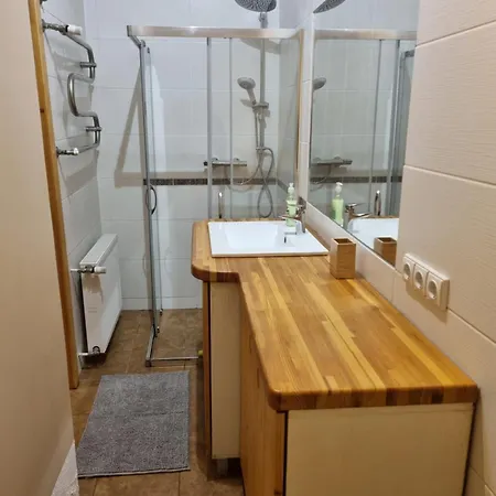 Savanoriu Pr. 3a Apartment *